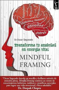mindful transforma tu ansiedad en energia vital